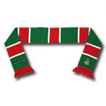 Локомотив ФК шарф барскарф с вышивкой красно-зеленые