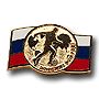Россия значок РФС Россия Вперед! на флаге